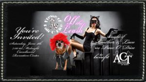 A Night of Leather & Lace in Paw O' Dice to benefit the Animal Coalition of Tampa!